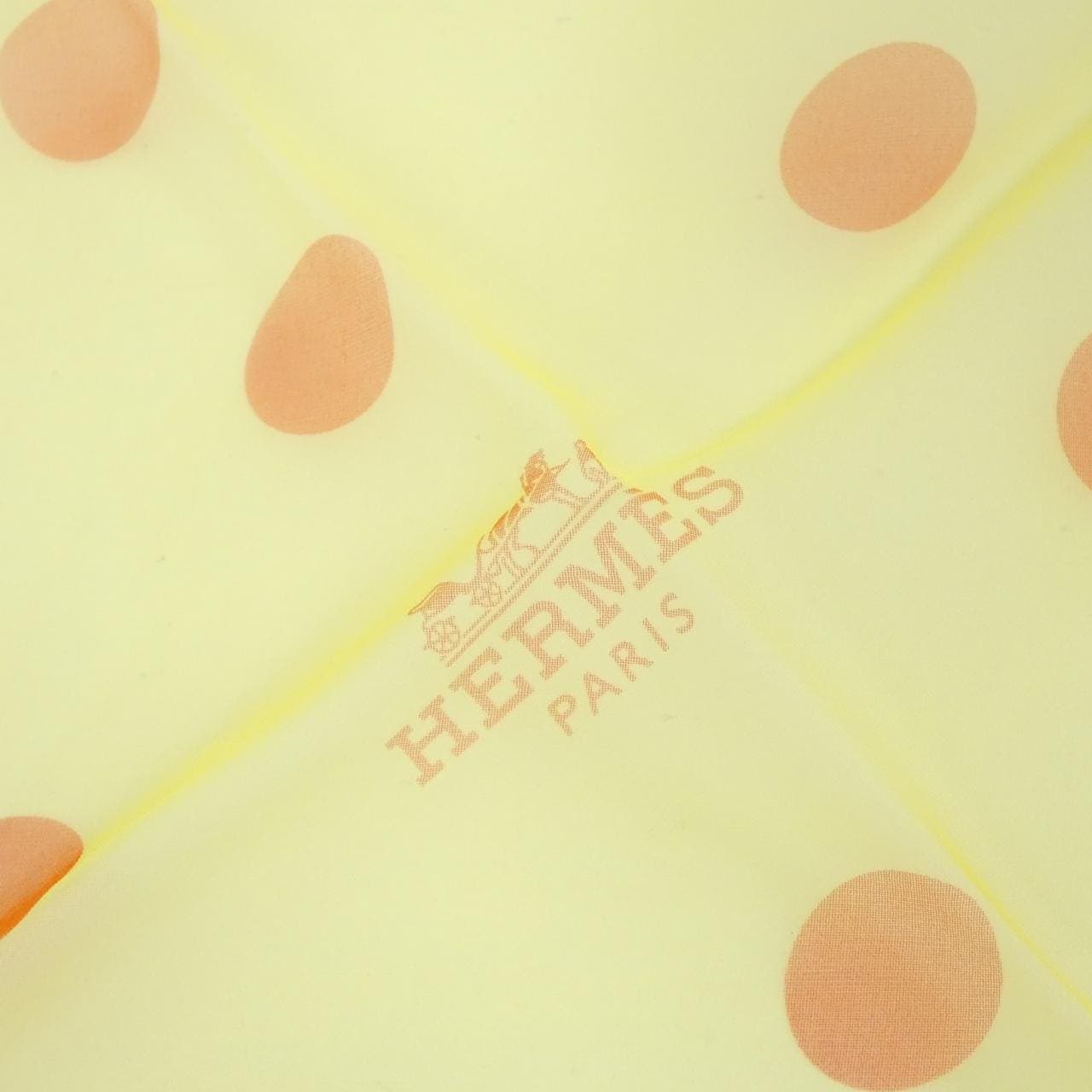 HERMES Scarf