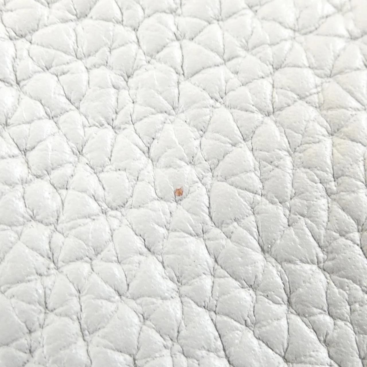 COACH C6627 肩背包 皮革