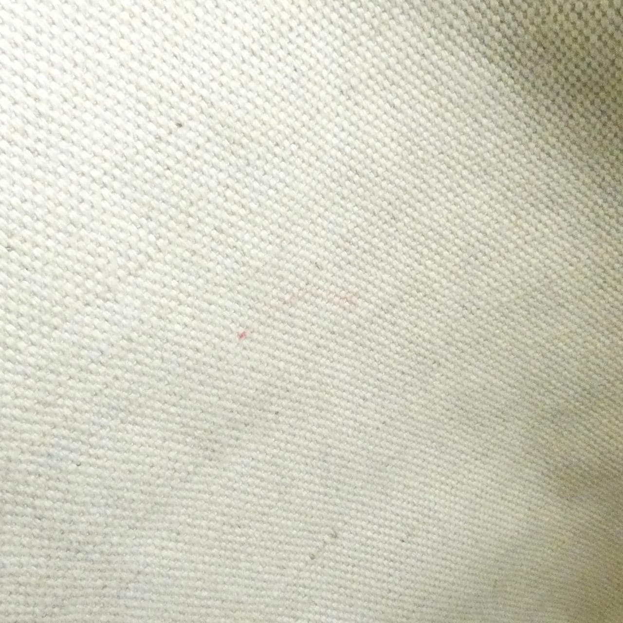 GOYARD Saint Louis AMA LOUIS PM Tote Canvas