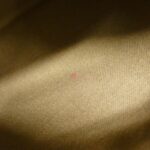 Louis Vuitton Monogram Delightful PM Shoulder Bag M40352 - Image 10