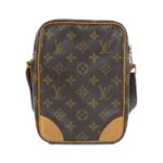 Louis Vuitton Monogram Amazon M45236 Shoulder Bag - Image 2