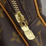 Louis Vuitton Monogram Amazon M45236 Shoulder Bag - Image 4