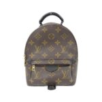 Louis Vuitton Monogram Palm Springs Backpack MINI M44873 Backpack