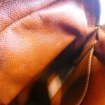 Louis Vuitton Monogram Amazon M45236 Shoulder Bag - Image 9