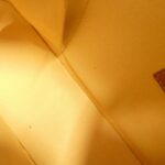 Louis Vuitton Monogram Mini Lucie PM M92684 Bag - Image 10