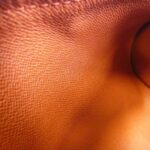 Damier Papillon 26 N51304 Bag - Image 9