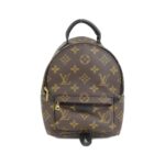 Louis Vuitton Monogram Palm Springs Backpack MINI M44873 Backpack