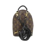 Louis Vuitton Monogram Palm Springs Backpack MINI M44873 Backpack - Image 2
