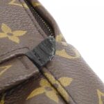 Louis Vuitton Monogram Palm Springs Backpack MINI M44873 Backpack - Image 6