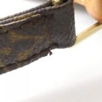 Louis Vuitton Monogram Amazon M45236 Shoulder Bag - Image 6