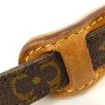 Louis Vuitton Monogram Amazon M45236 Shoulder Bag - Image 7