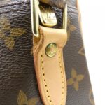 Louis Vuitton Monogram Nile M45244 Shoulder Bag - Image 6
