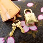 Louis Vuitton Monogram Cherry Blossom Sac Retro PM M92012 Bag - Image 4
