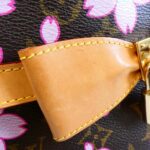 Louis Vuitton Monogram Cherry Blossom Sac Retro PM M92012 Bag - Image 6