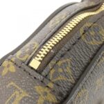 Louis Vuitton Monogram (Animogram) Wallet on Chain M11452 Shoulder Bag - Image 4