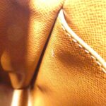 Louis Vuitton Monogram Amazon M45236 Shoulder Bag - Image 10