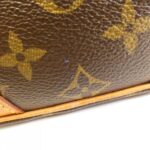 Louis Vuitton Monogram Amazon M45236 Shoulder Bag - Image 4