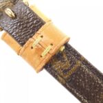 Louis Vuitton Monogram Amazon M45236 Shoulder Bag - Image 7