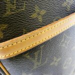 Louis Vuitton Monogram Danube Shoulder Bag M45266 - Image 6