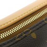 Louis Vuitton Monogram (LV Vers) Bone Wearable Wallet M12615 Shoulder Bag - Image 5