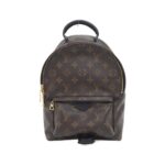 Louis Vuitton Monogram Palm Springs Backpack PM M44871 Backpack