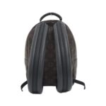 Louis Vuitton Monogram Palm Springs Backpack PM M44871 Backpack - Image 2
