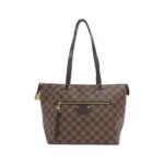 Louis Vuitton Damier Iéna PM N41012 Bag