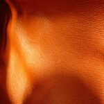 Louis Vuitton Damier Papillon 30cm N51303 Bag - Image 8