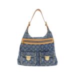 Louis Vuitton Monogram Denim Baggy GM M95048 Shoulder Bag