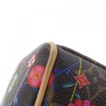 Louis Vuitton Monogram (LV x TM) Speedy Bandoulière 20cm M14175 Boston Bag - Image 2