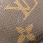 Louis Vuitton Monogram Reverse Cannes M43986 Bag - Image 4