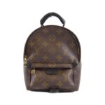 Louis Vuitton Monogram Palm Springs Backpack MINI M41562 Backpack