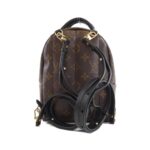 Louis Vuitton Monogram Palm Springs Backpack MINI M41562 Backpack - Image 2