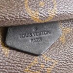 Louis Vuitton Monogram Palm Springs Backpack MINI M41562 Backpack - Image 6