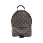 Louis Vuitton Monogram Palm Springs Backpack PM M44871 Backpack