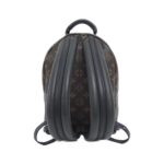 Louis Vuitton Monogram Palm Springs Backpack PM M44871 Backpack - Image 2
