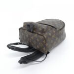 Louis Vuitton Monogram Palm Springs Backpack PM M44871 Backpack - Image 3