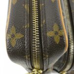 Louis Vuitton Monogram Amazon M45236 Shoulder Bag - Image 6