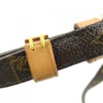 Louis Vuitton Monogram Amazon M45236 Shoulder Bag - Image 8