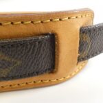 Louis Vuitton Monogram Nile M45244 Shoulder Bag - Image 8