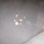 Louis Vuitton Monogram Mini Lin Bucket PM M95226 Bag - Image 9