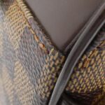 Louis Vuitton Damier Saria Oriental N51282 Bag - Image 4