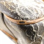 Louis Vuitton Monogram Dantier Batignolles Oriental M95399 Bag - Image 2