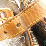 Louis Vuitton Monogram Dantier Batignolles Oriental M95399 Bag - Image 4