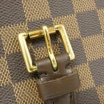 Louis Vuitton Damier Saugine N48079 Shoulder Bag - Image 9