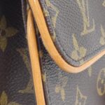Louis Vuitton Monogram Pochette Florentine XS M51855+M67303 Waist Bag - Image 4