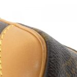 Louis Vuitton Monogram Amazon M45236 Shoulder Bag - Image 3