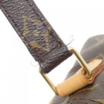 Louis Vuitton Monogram Amazon M45236 Shoulder Bag - Image 8