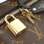 Louis Vuitton Monogram Reverse Vanity Chain Pouch M47125 Shoulder Bag - Image 4