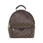 Louis Vuitton Monogram Palm Springs Backpack M41561 Backpack